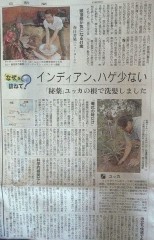 朝日新聞（２０１３年８月１８日）