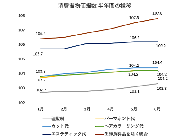 cpi_2024_06