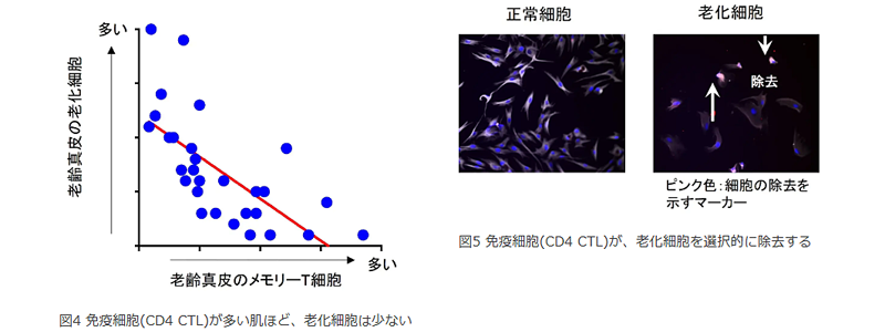 shiseido_3