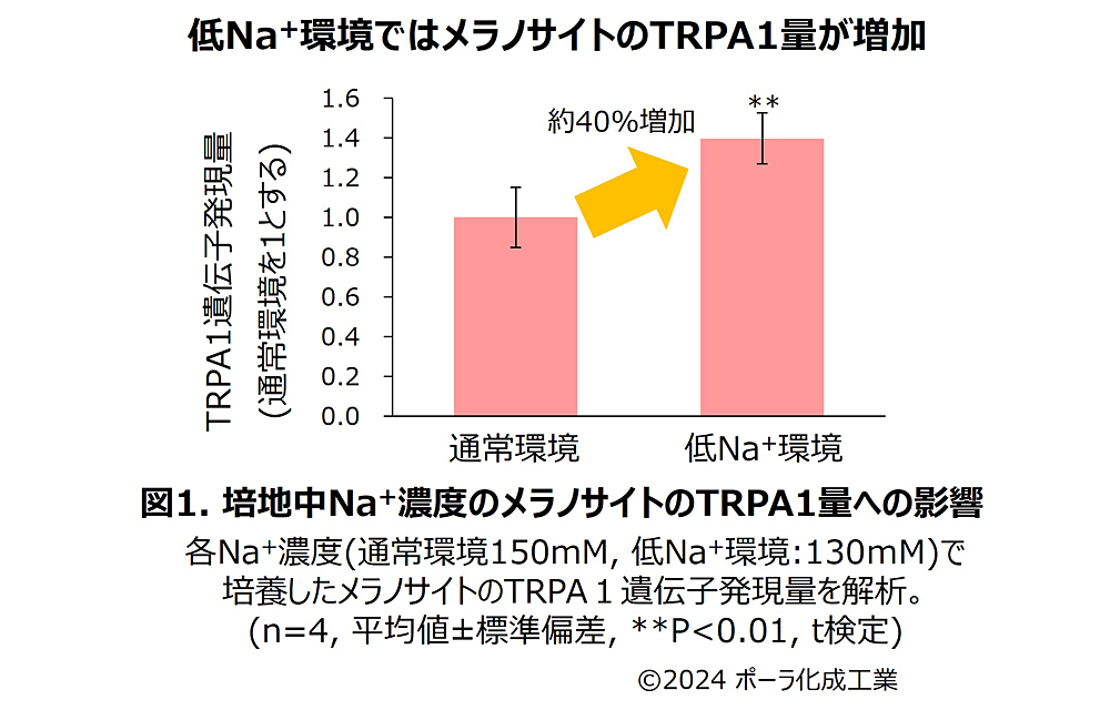 pola1