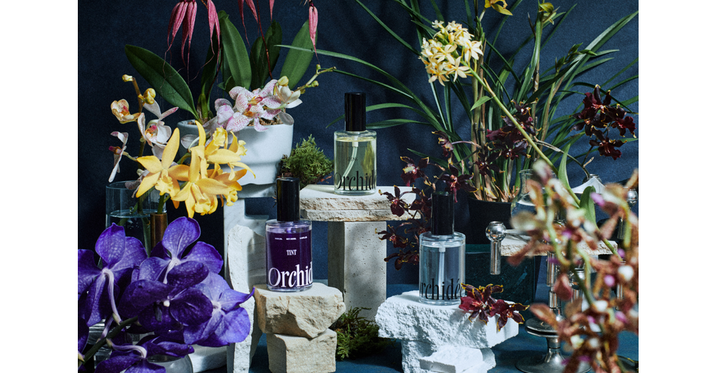 orchidee