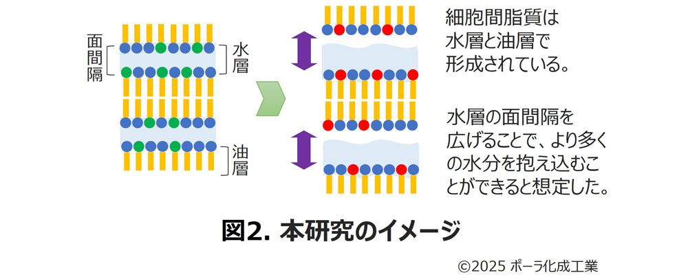ポーラ化成工業の研究2