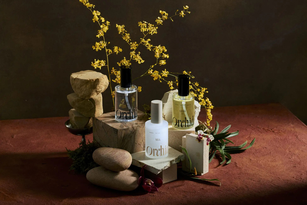 メゾンオルキデに新登場したミルクタイプと香り違いのオイルシリーズ
