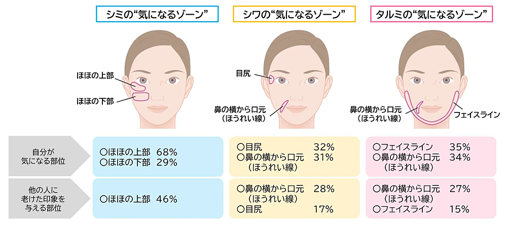 シミ・シワ・タルミが気になりやすい顔の部位を示した女性のフェイスイラスト。